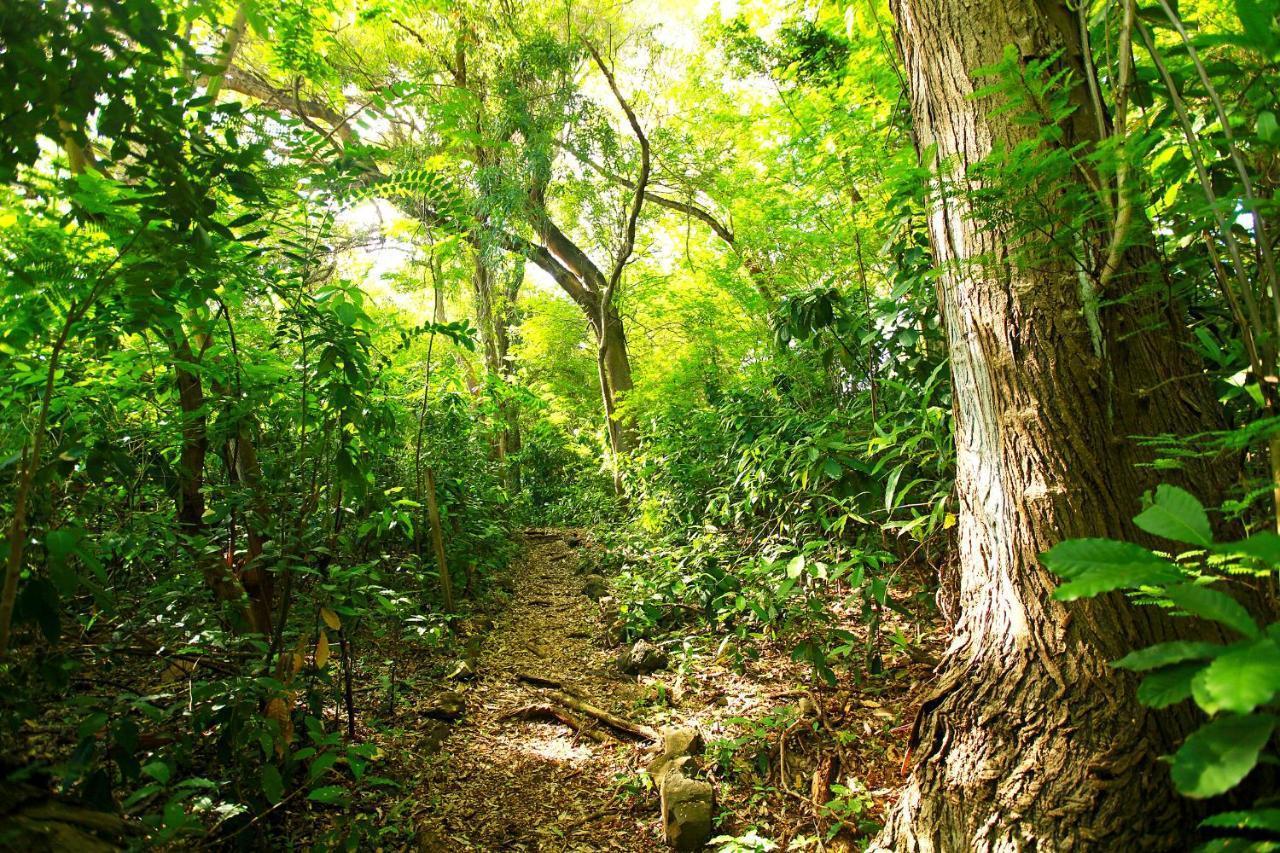 Pousada Do Vale Fernando de Noronha Exteriör bild