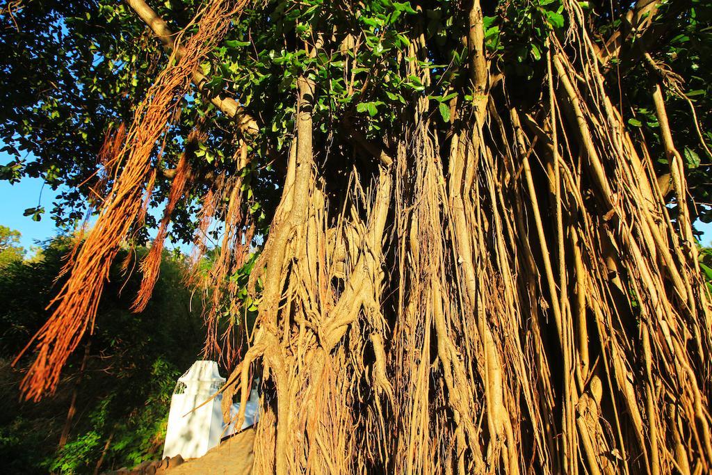 Pousada Do Vale Fernando de Noronha Exteriör bild